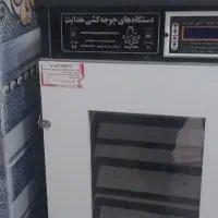 دستگاه جوجه کشی
