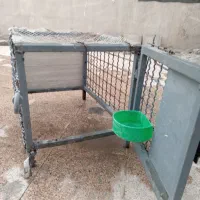 قفس جفتگاه کفتر