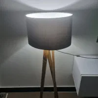 آباژور ایستاده