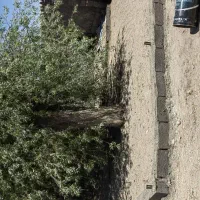 زمین