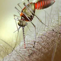 مغازه سم پاشی منزل ساس  نظافت موش سمپاشی