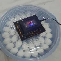 دستگاه جوجه کشی