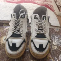 کفش اسپورت