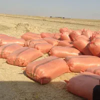 فروش کاه