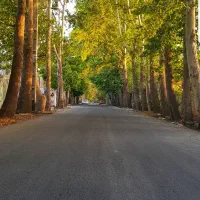 باغچه در برندترین خیابان شهر ملارد ((رضوان))