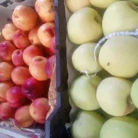 شاگرد میوه فروشی