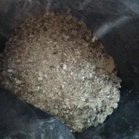 کود خروس و مرغ