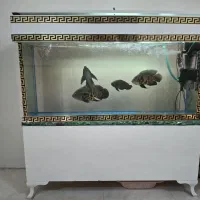 آکواریوم شیشه خم