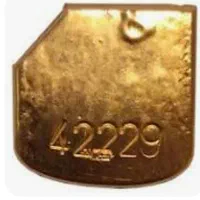 طلای آبشده