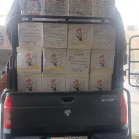 پخش عمده تخم مرغ فله پارسیرنگ