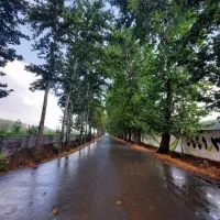 1500متری-سندار-چهارباغ-قوهه