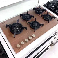 اجاق گاز خوشرنگ تکنوگس