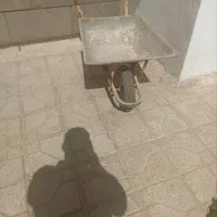 فرغون