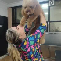 کلینیک دامپزشکی ایرانیا و گرومینگ