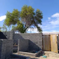 باغ و باغچه/مناسب سرمایه گذاری/چسب بافت