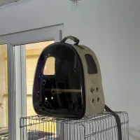 کیف پرنده حمل و نقل
