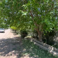 باغچه-فوق-العاده-ده-ساله-700متری-دنگیزک-نظراباد