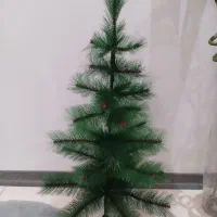 درخت بابانوئل