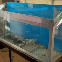 آکواریوم با پایه