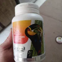 سرلاک پرنده