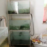 حراج آکواریوم و پایه آکواریوم، شلنگ