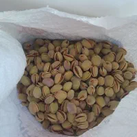 بادام کاغذی اعلا تو پر