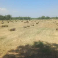 علف پرس شده سایز ۷۰ سانتی