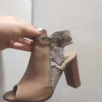 کفش مجلسی