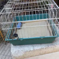 قفس خرگوش