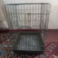 فروش قفس عروس هلندی