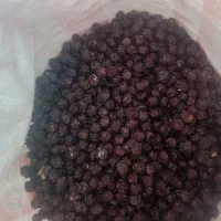 آلبالو خشک امسال