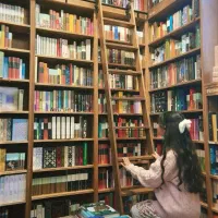 سرکتاب و فال