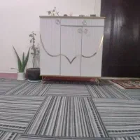 میزتی وی جاکفشی