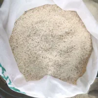 برنج طارم هاشمی فریدونکنار ارجینال