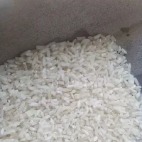 برنج سر لاشه هاشمی آستانه اشرفیه