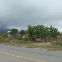 باغ