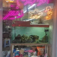 آکواریوم و پت شاپ دنیز