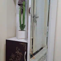 جاکفشی ایستاده