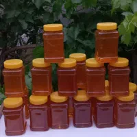 عسل طبیعی کوهی و درمانی