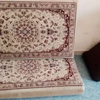 جفت پشتی درحدنو