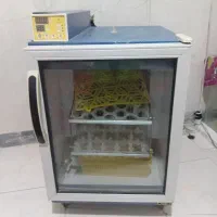 دستگاه جوجه کشی