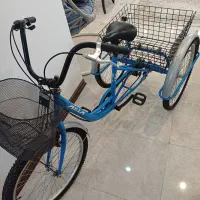 سه چرخه بزرگسال آریا