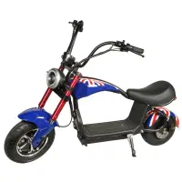 موتور برقی مدل هارلی