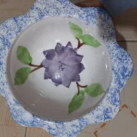 تنگ‌ماهی‌وحوض‌ماهی