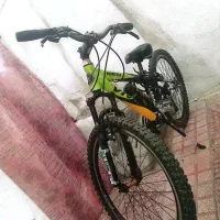 دوچرخه ۲۶ ویوا