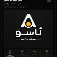 طراحی گرافیک و چاپ تضمینی برای برندها|خدمات رایانه‌ای و موبایل|سنندج, |دیوار