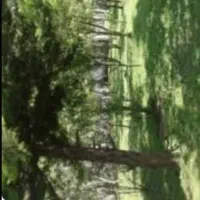 فروش زمین (باغچه) نقلی در شهران شمالی