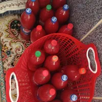 رب خانگی