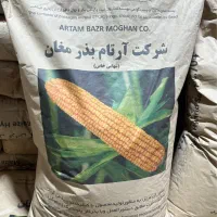 ذرت علوفهای مغان ۷۰۴ ارتام|گل و گیاه طبیعی|کازرون, |دیوار