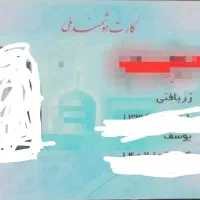 کارت گمشده